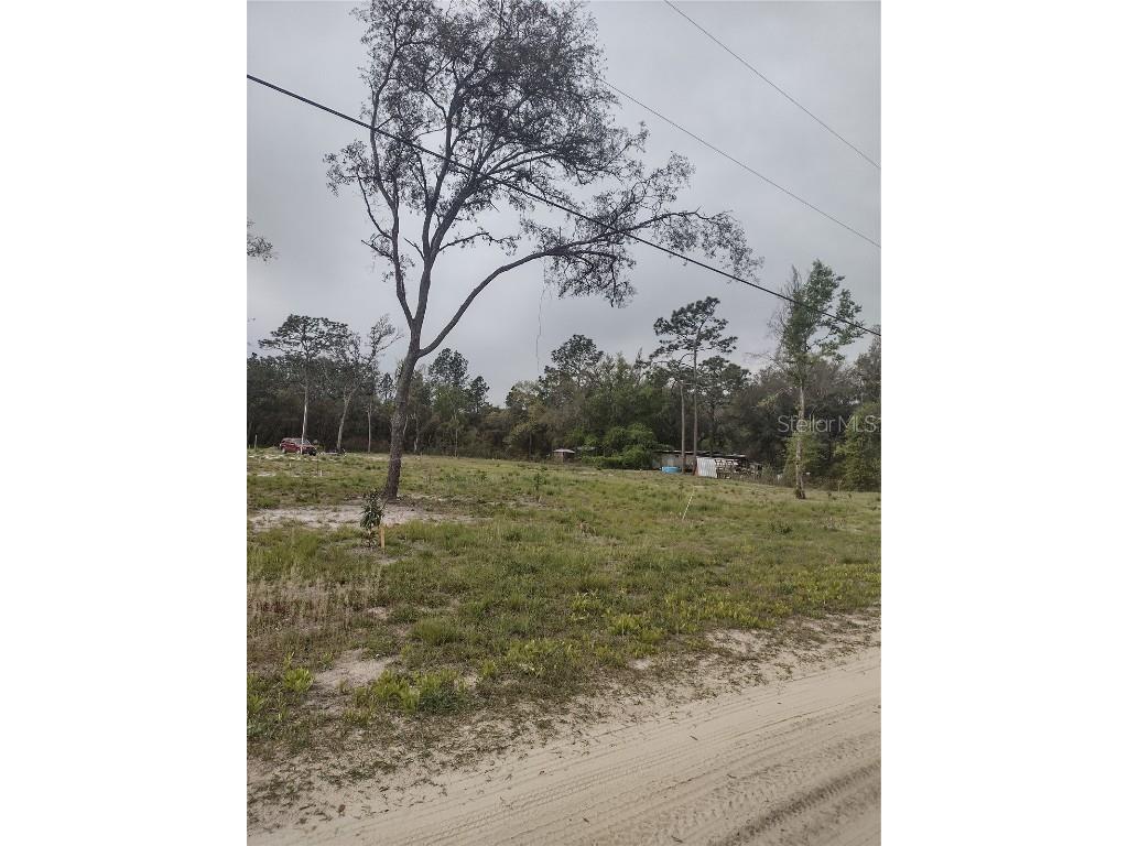 TBD SW 155th Street Dunnellon FL 34432 OM655084 image1