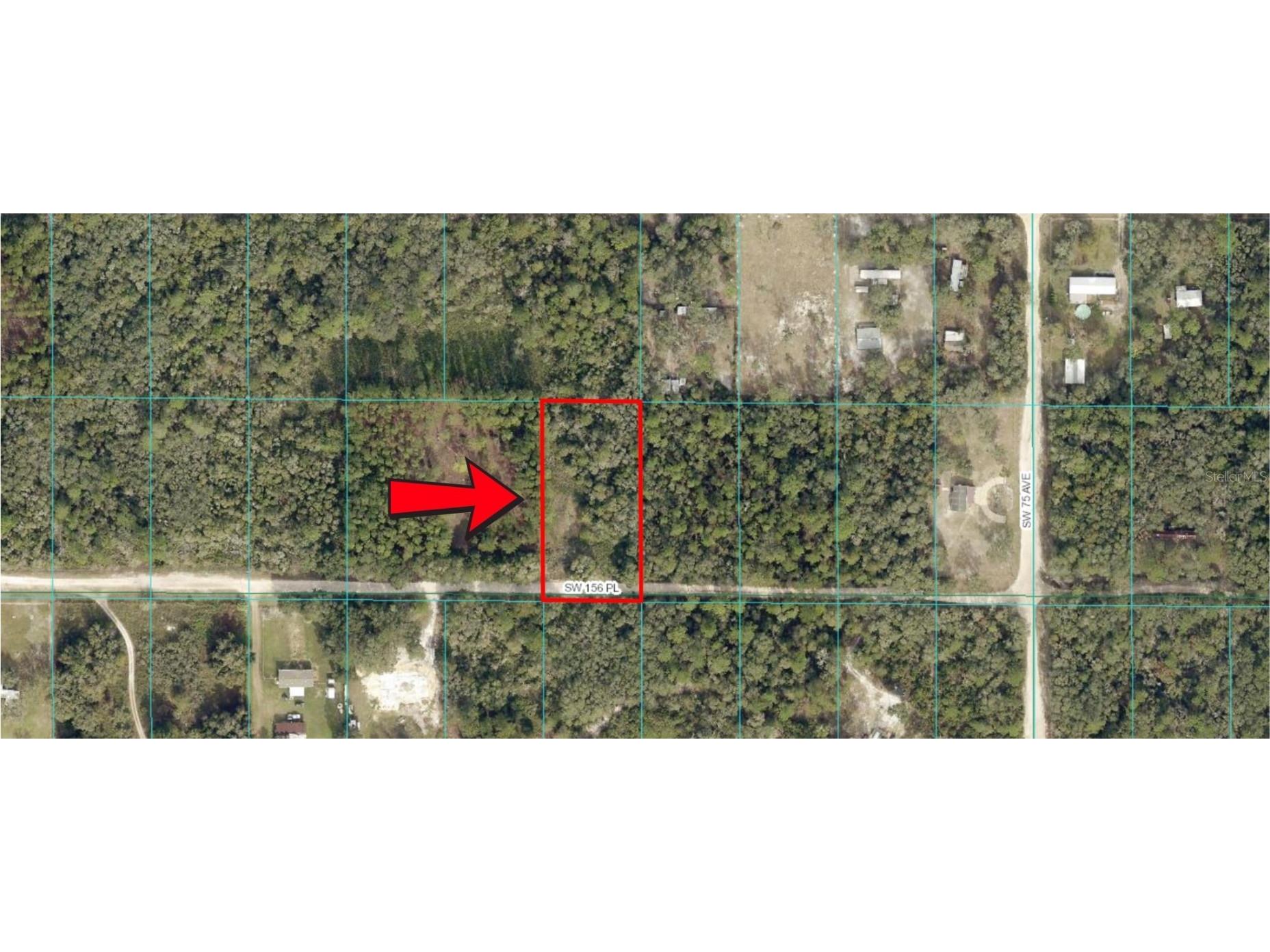 TBD SW 156 Place Dunnellon FL 34432 OM695487 image1