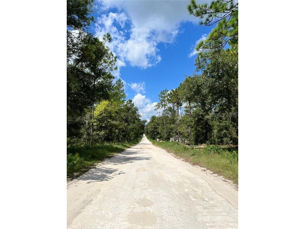 TBD SW 156th Court Ocala FL 34481 G5086265 image10