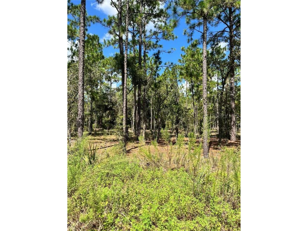 TBD SW 156th Court Ocala FL 34481 G5086265 image2