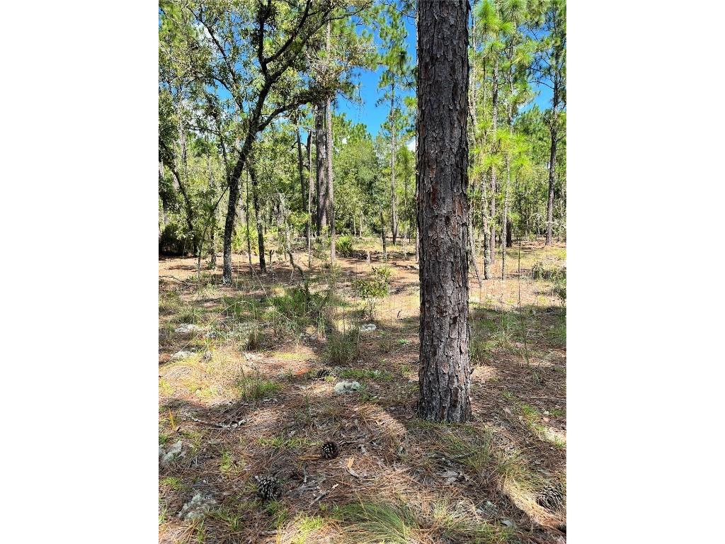 TBD SW 156th Court Ocala FL 34481 G5086265 image3