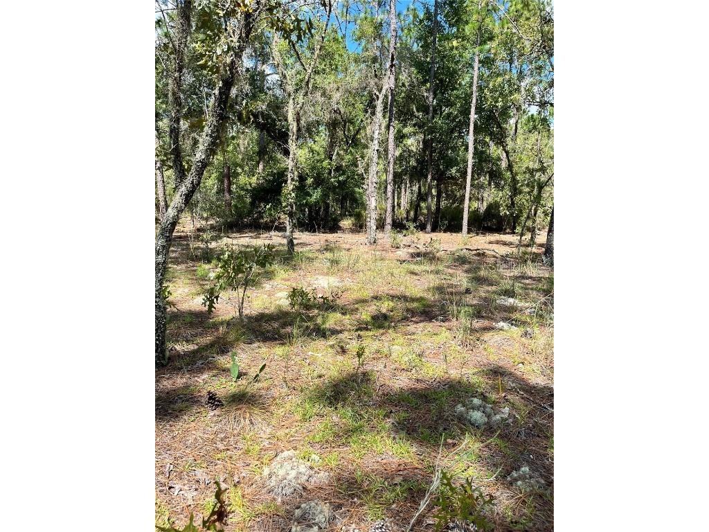 TBD SW 156th Court Ocala FL 34481 G5086265 image4