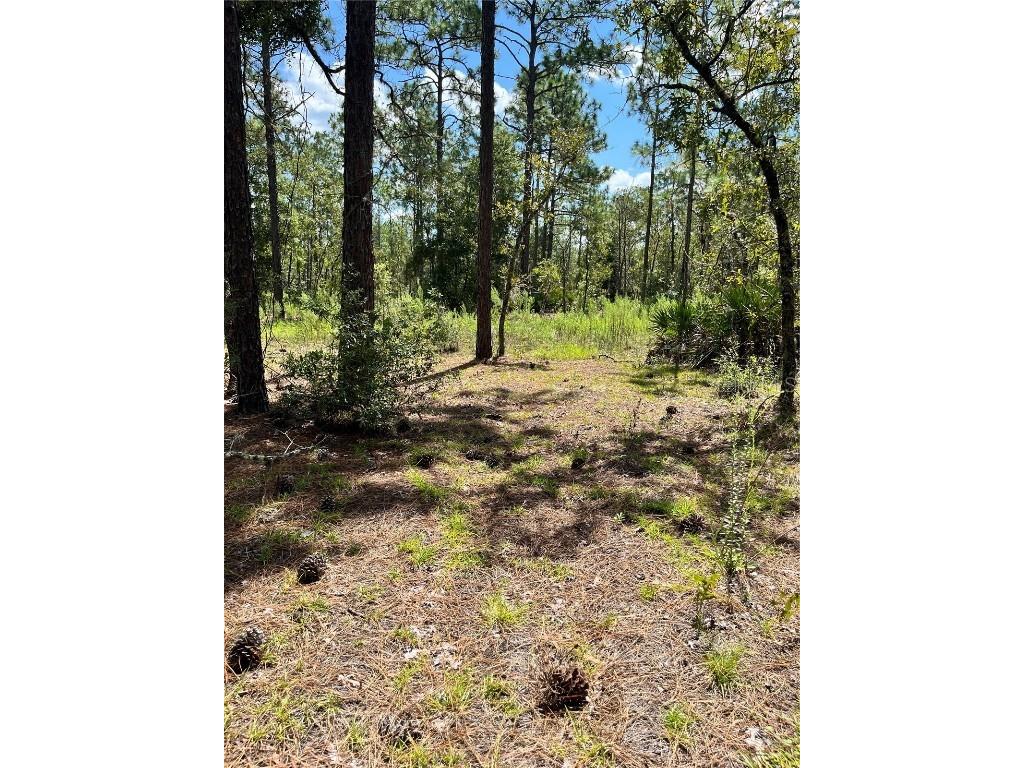 TBD SW 156th Court Ocala FL 34481 G5086265 image5