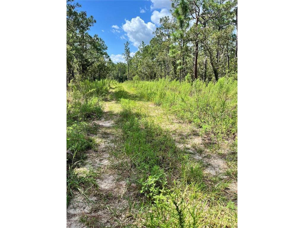 TBD SW 156th Court Ocala FL 34481 G5086265 image6