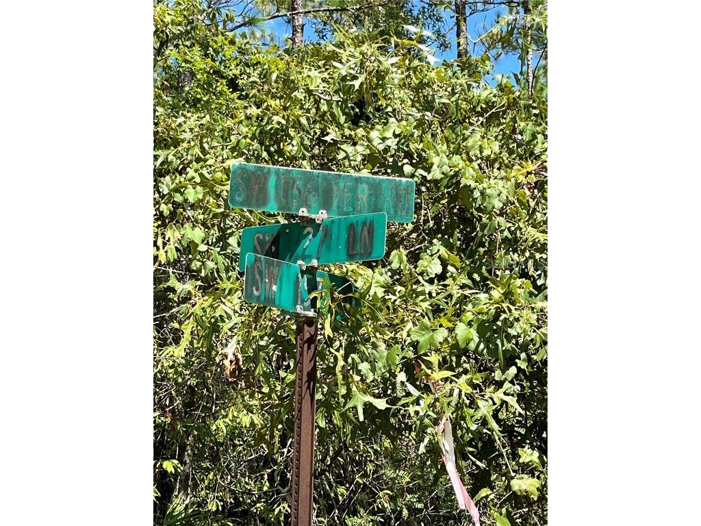 TBD SW 156th Court Ocala FL 34481 G5086265 image7