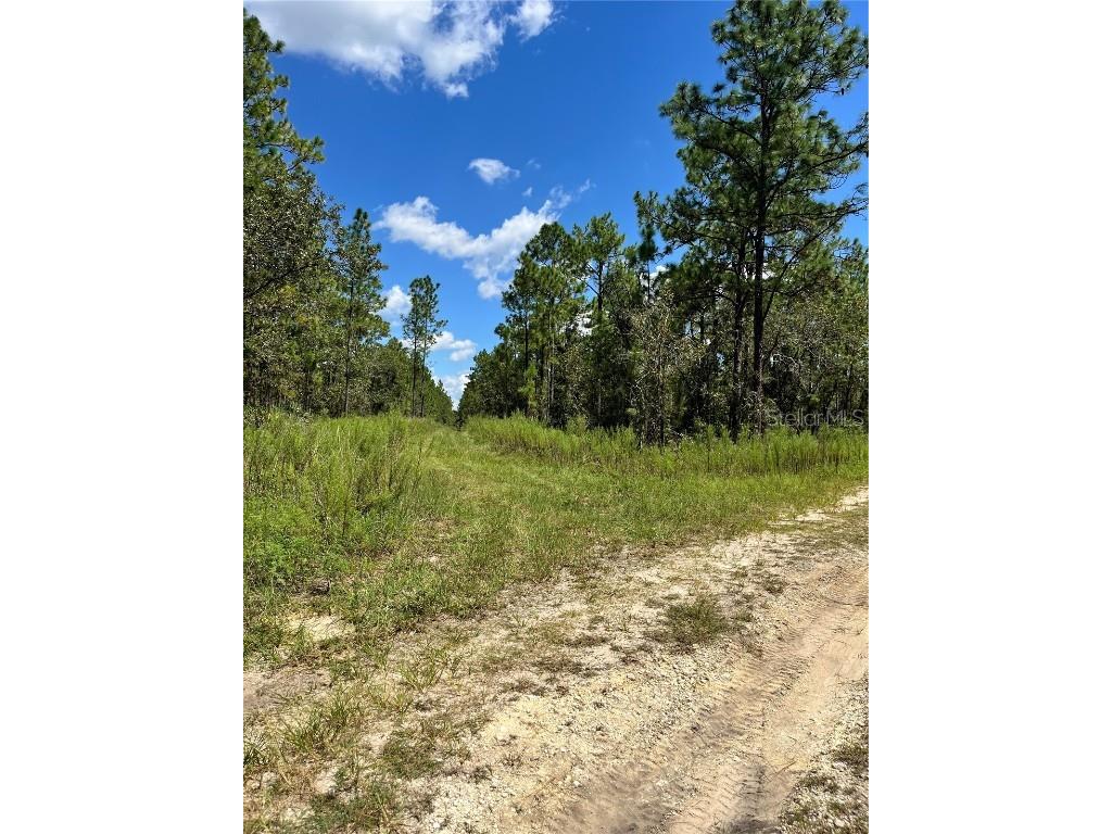 TBD SW 156th Court Ocala FL 34481 G5086265 image8