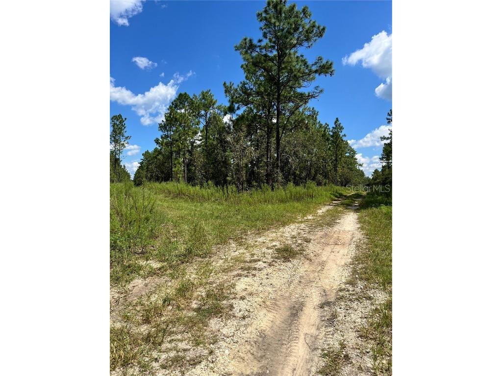TBD SW 156th Court Ocala FL 34481 G5086265 image9