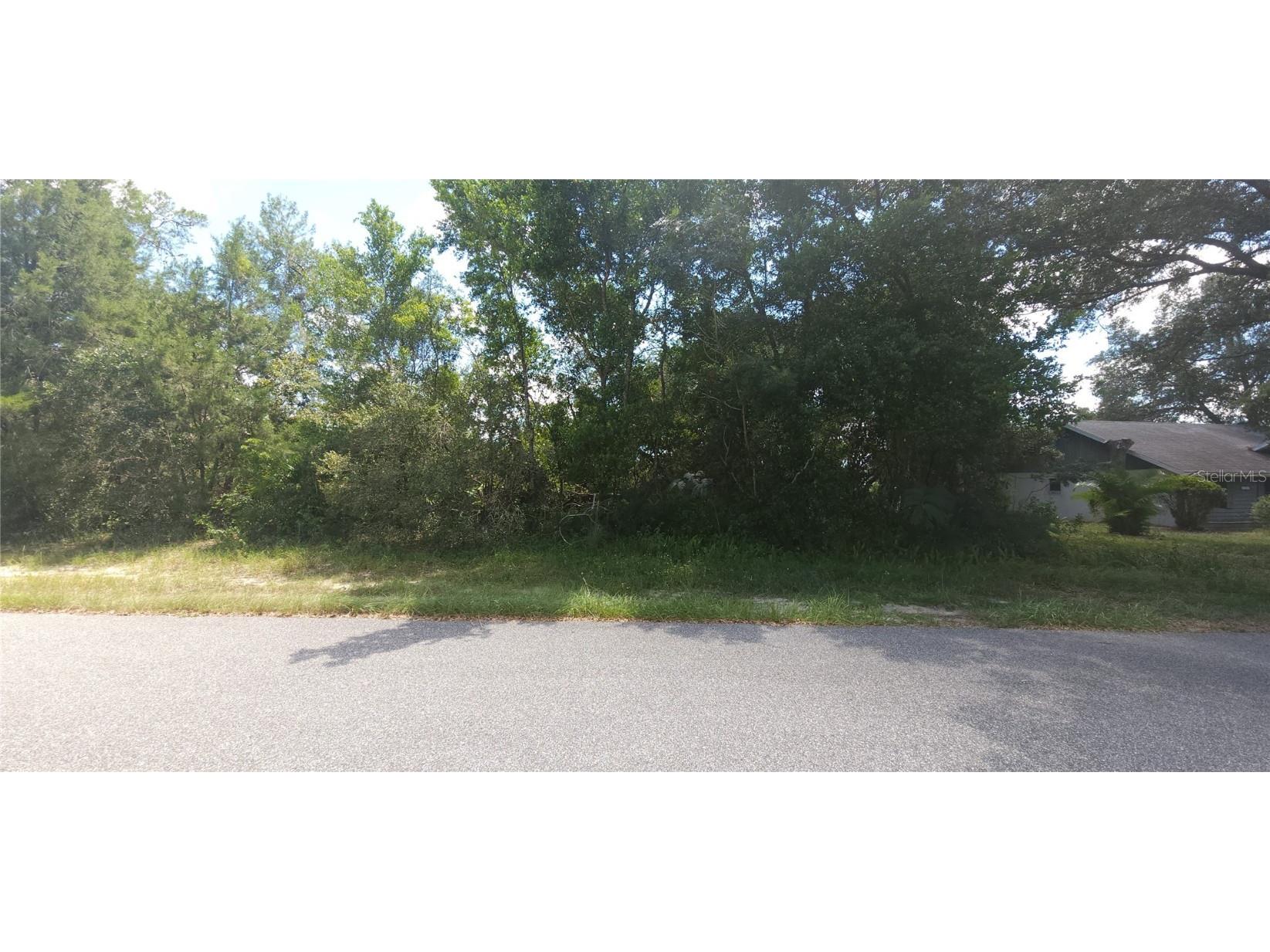 TBD SW 156th Place Ocala FL 34473 OM663287 image1