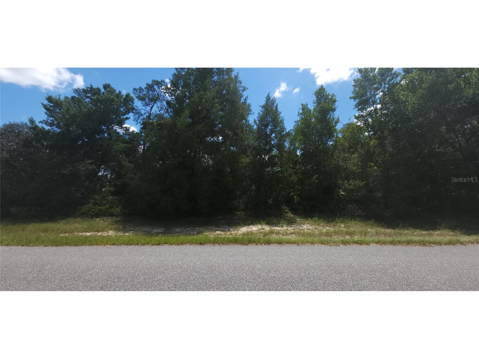 TBD SW 156th Place Ocala FL 34473 OM663291 image1