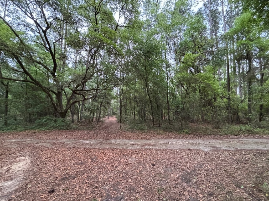 TBD SW 157th Avenue Ocala FL 34481 OM675192 image1