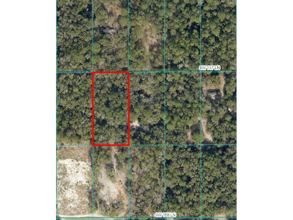 TBD SW 157th Lane Dunnellon FL 34432 OM701798 image1
