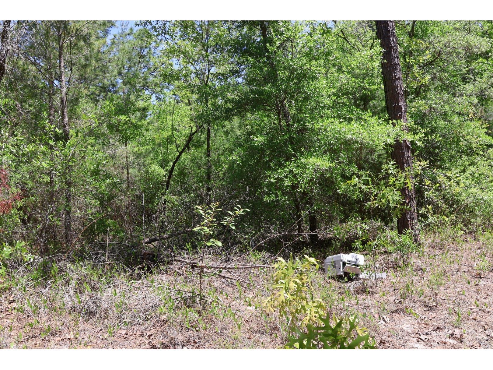 TBD SW 157th Lane Dunnellon FL 34432 OM722893 image2