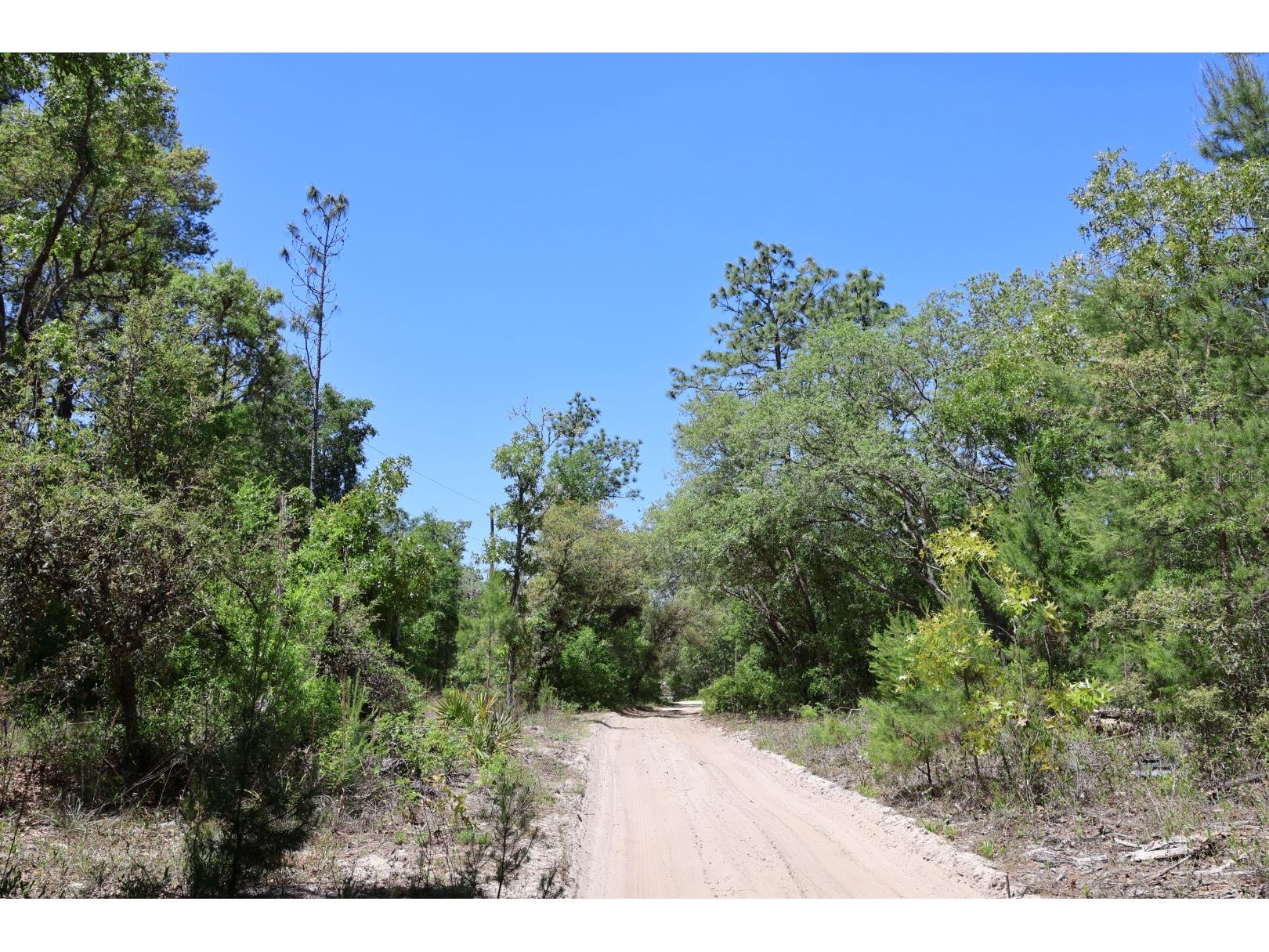 TBD SW 157th Lane Dunnellon FL 34432 OM722893 image3