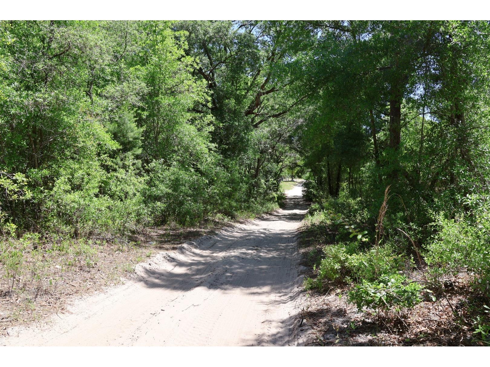 TBD SW 157th Lane Dunnellon FL 34432 OM722893 image4