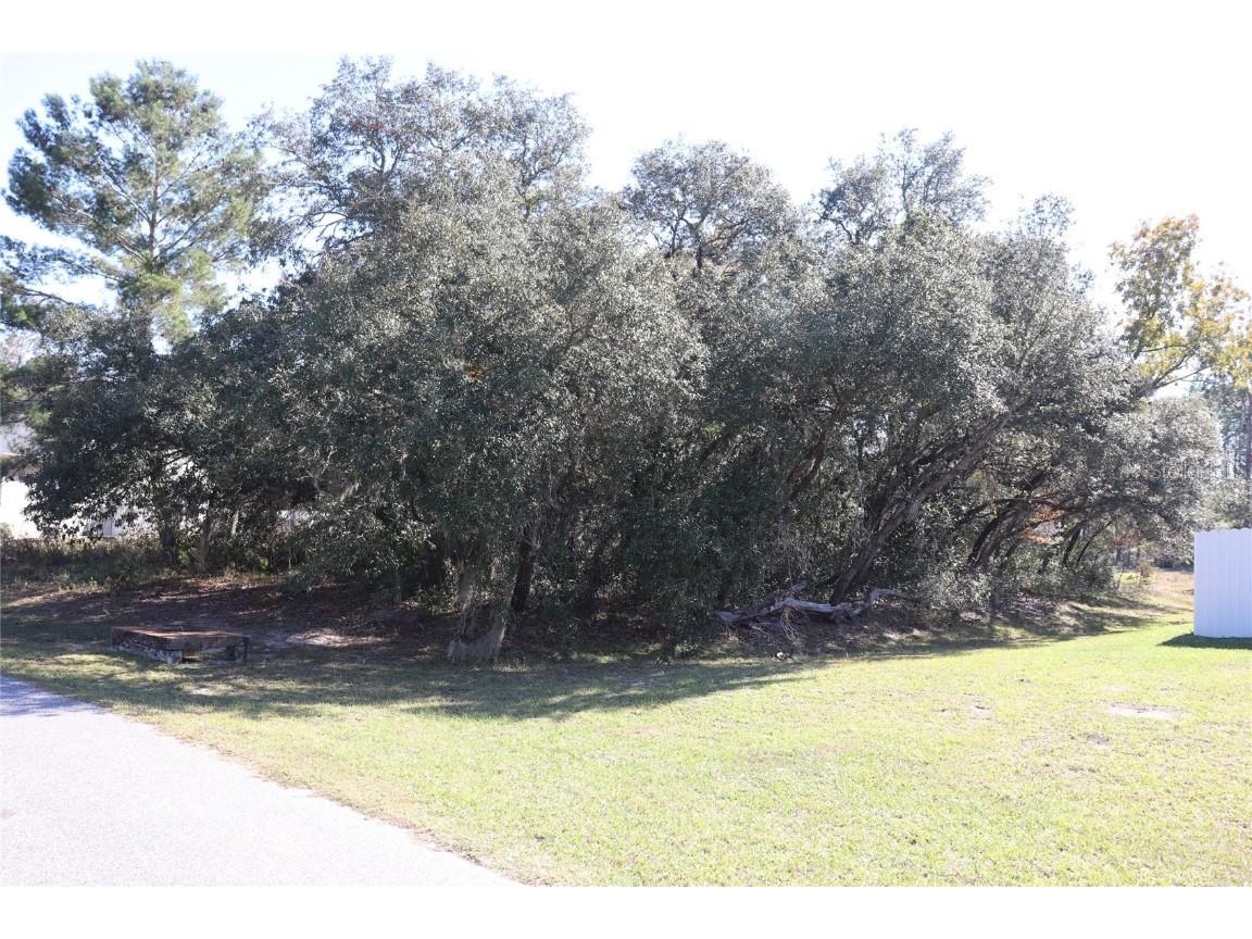 TBD SW 157th Street Ocala FL 34473 A4673083 image1