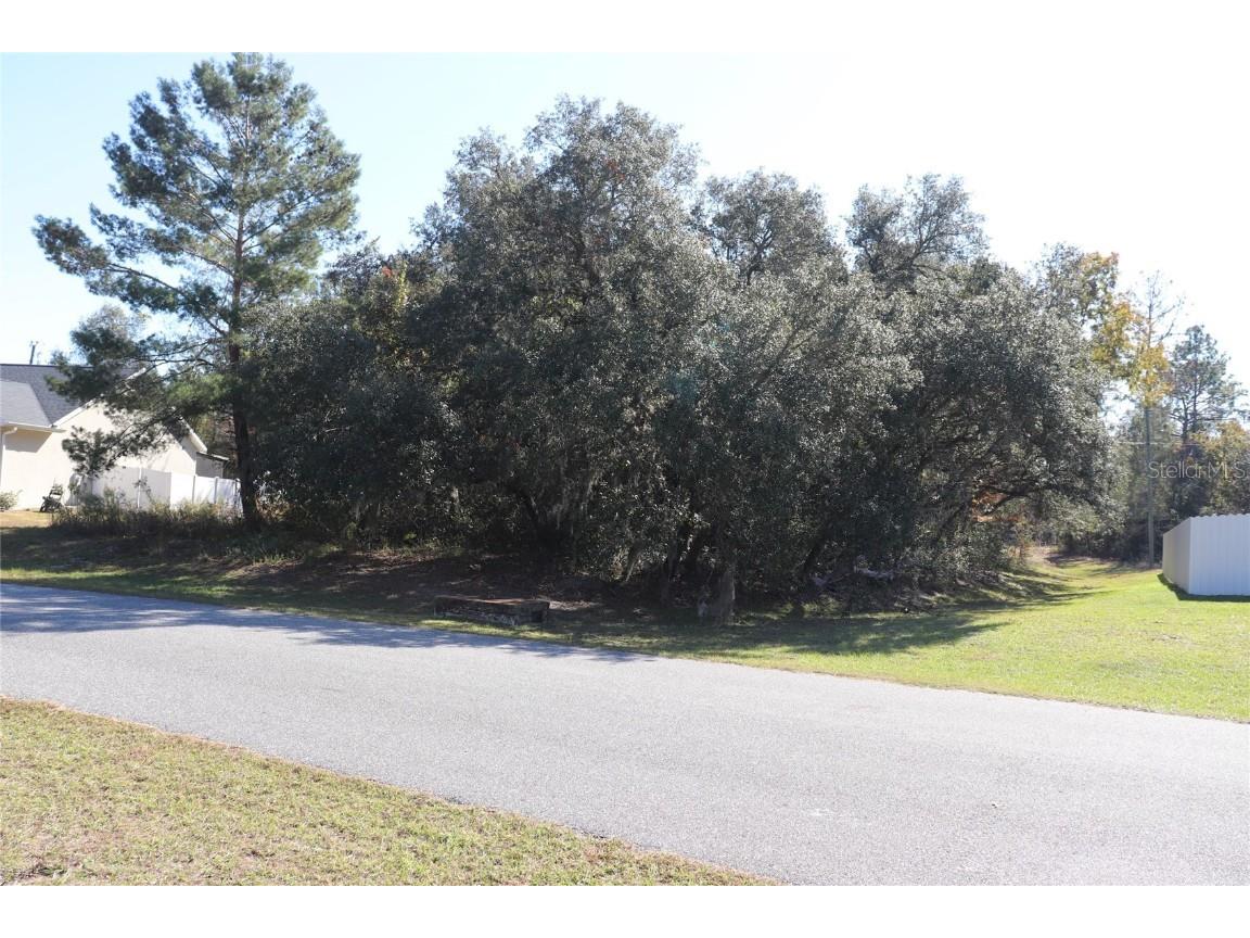 TBD SW 157th Street Ocala FL 34473 A4673083 image10