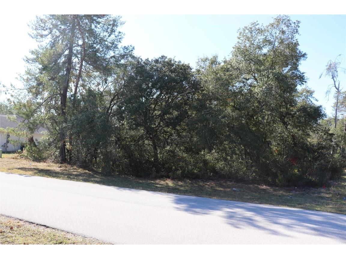 TBD SW 157th Street Ocala FL 34473 A4673083 image3