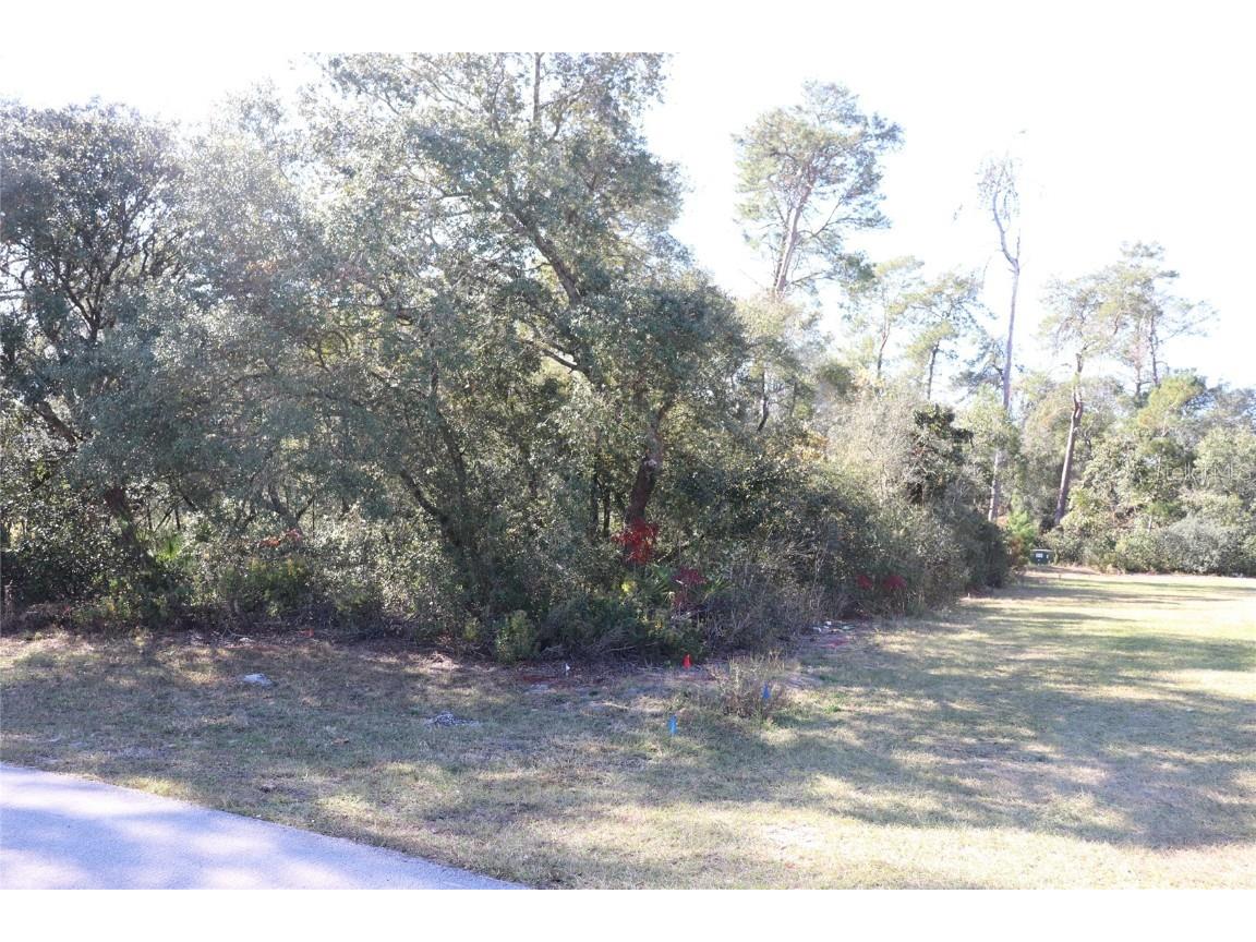 TBD SW 157th Street Ocala FL 34473 A4673083 image4