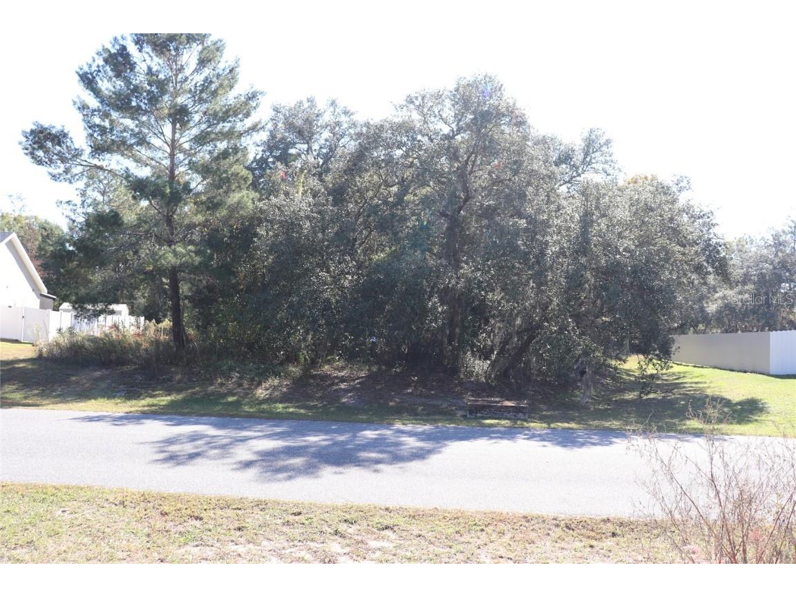 TBD SW 157th Street Ocala FL 34473 A4673083 image8