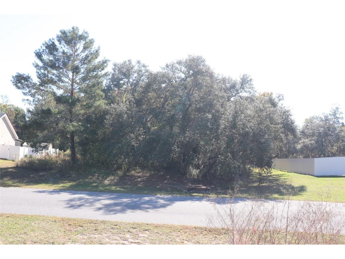 TBD SW 157th Street Ocala FL 34473 A4673083 image9