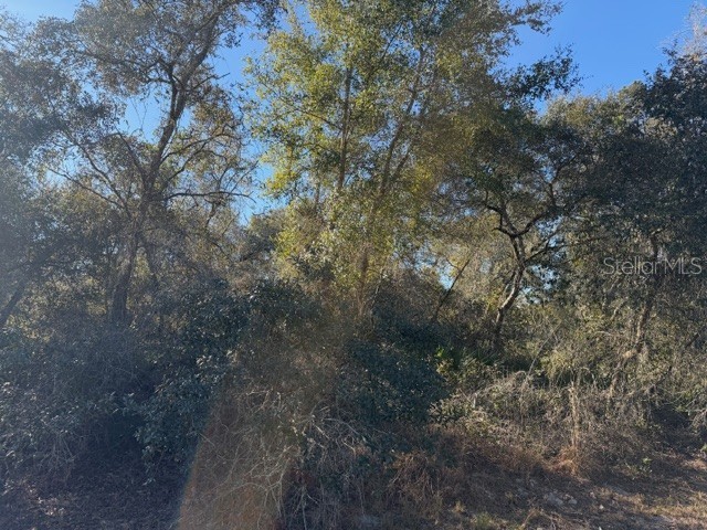 TBD SW 158th Street Road Ocala FL 34473 OM718055 image1