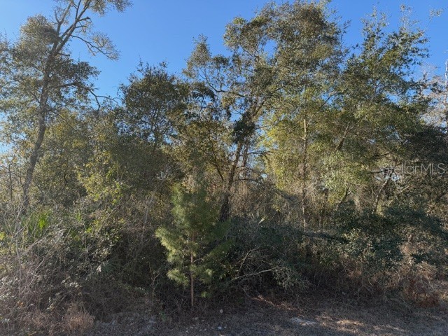 TBD SW 158th Street Road Ocala FL 34473 OM718055 image2