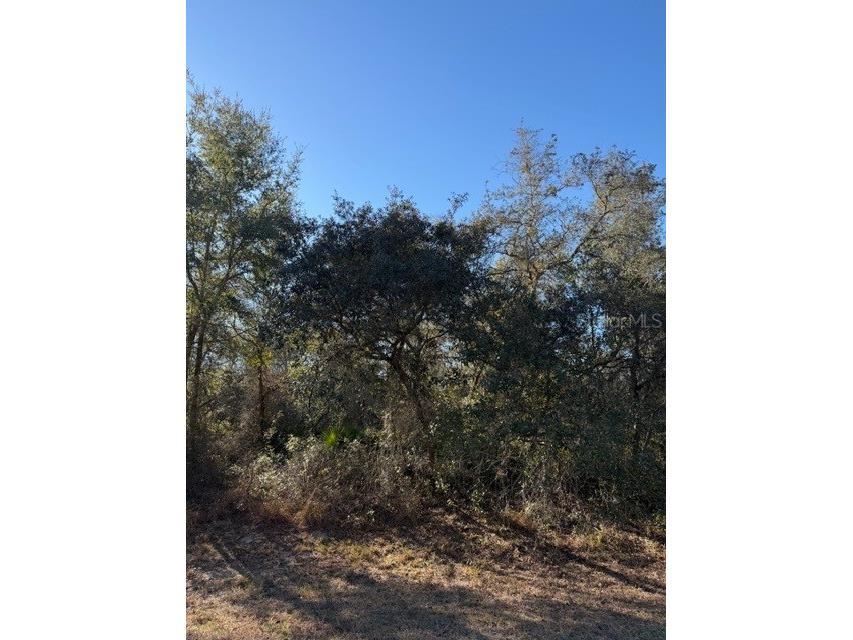 TBD SW 158th Street Road Ocala FL 34473 OM718055 image3