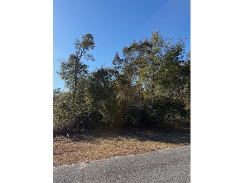 TBD SW 158th Street Road Ocala FL 34473 OM718055 image4