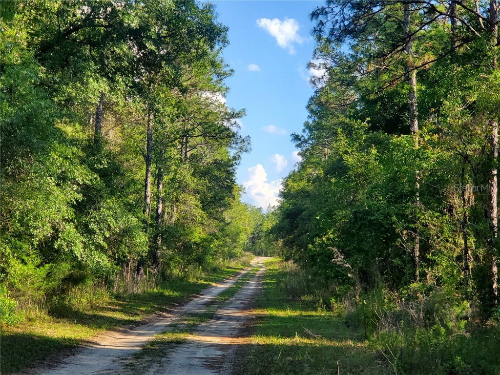 TBD SW 159 Avenue Ocala FL 34481 OM678975 image10