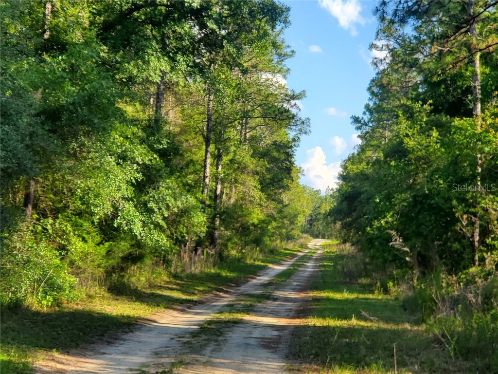 TBD SW 159 Avenue Ocala FL 34481 OM678975 image11