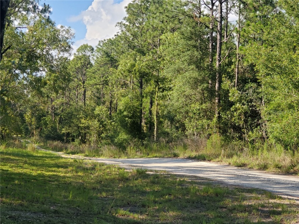 TBD SW 159 Avenue Ocala FL 34481 OM678975 image12