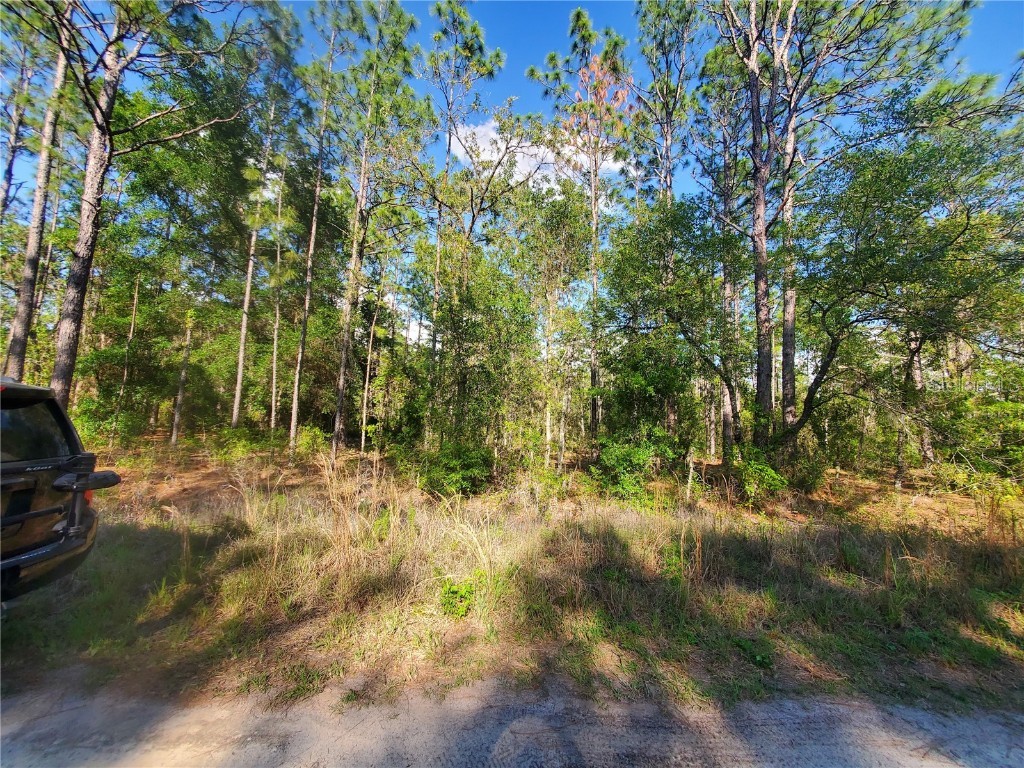 TBD SW 159 Avenue Ocala FL 34481 OM678975 image4