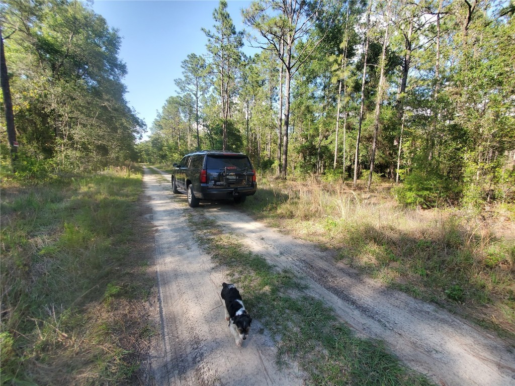 TBD SW 159 Avenue Ocala FL 34481 OM678975 image6