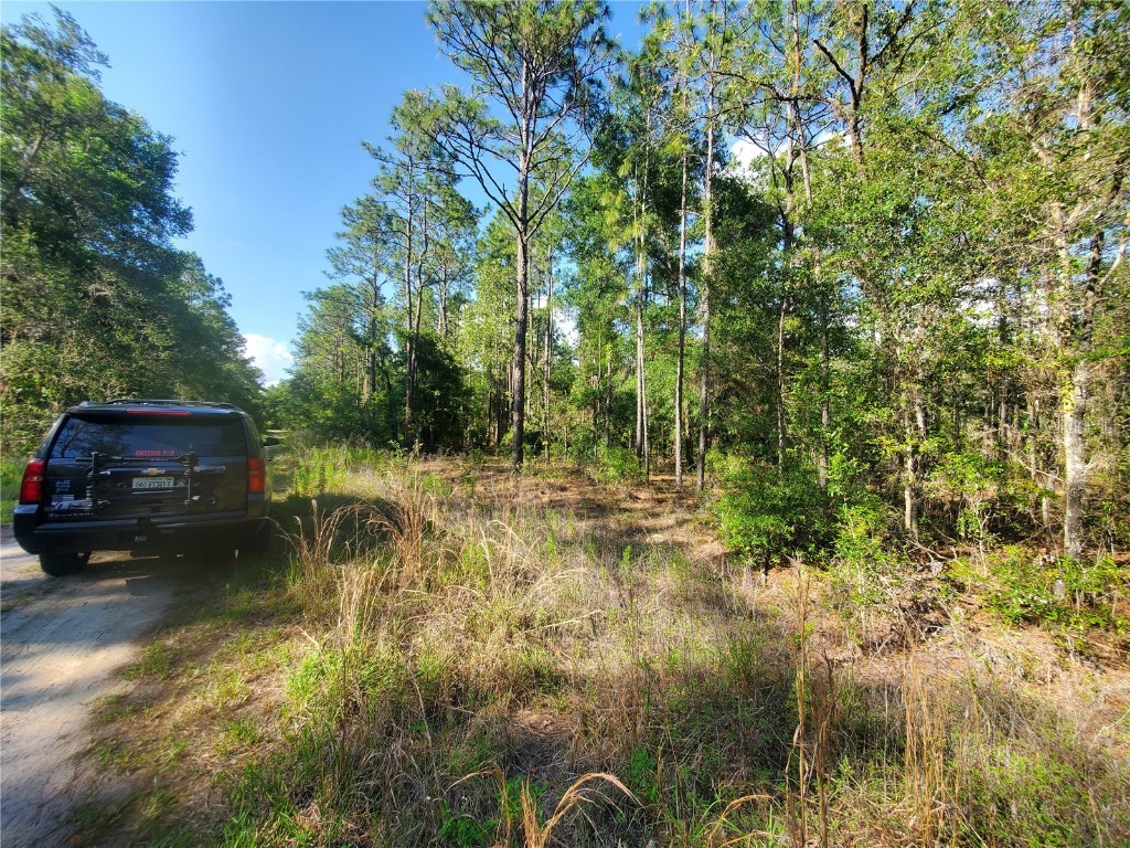 TBD SW 159 Avenue Ocala FL 34481 OM678975 image7