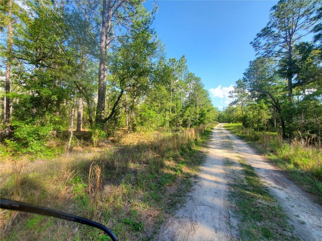 TBD SW 159 Avenue Ocala FL 34481 OM678975 image8
