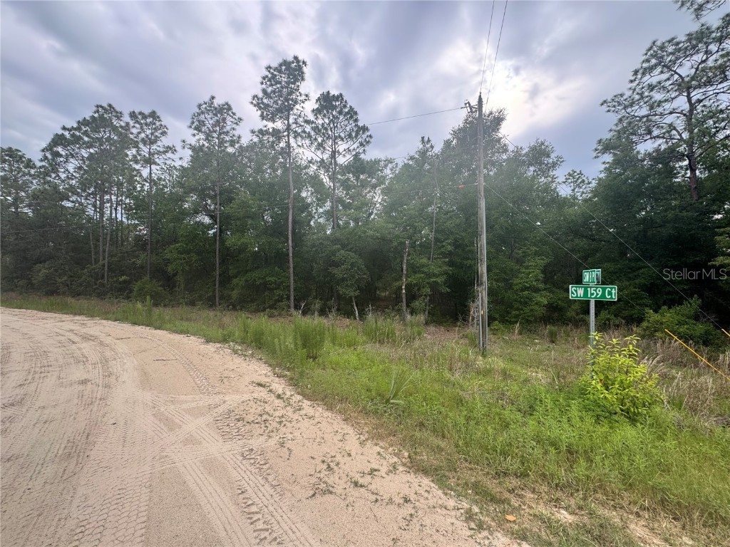 TBD SW 159 Court Ocala FL 34481 OM703327 image1