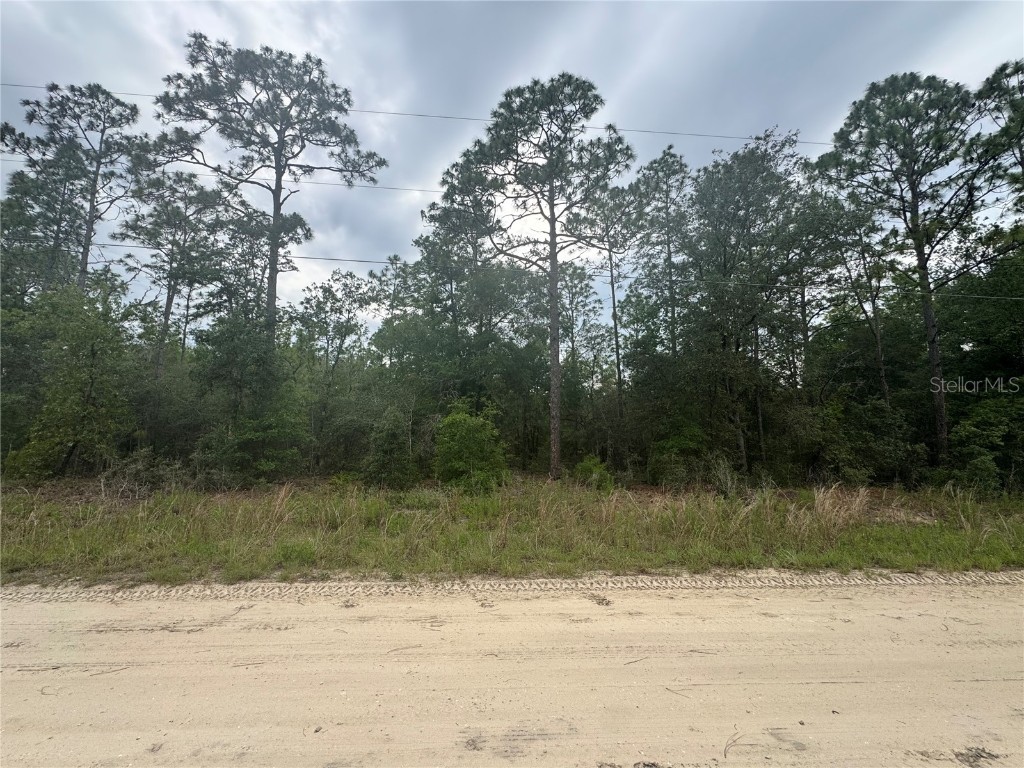 TBD SW 159 Court Ocala FL 34481 OM703327 image2
