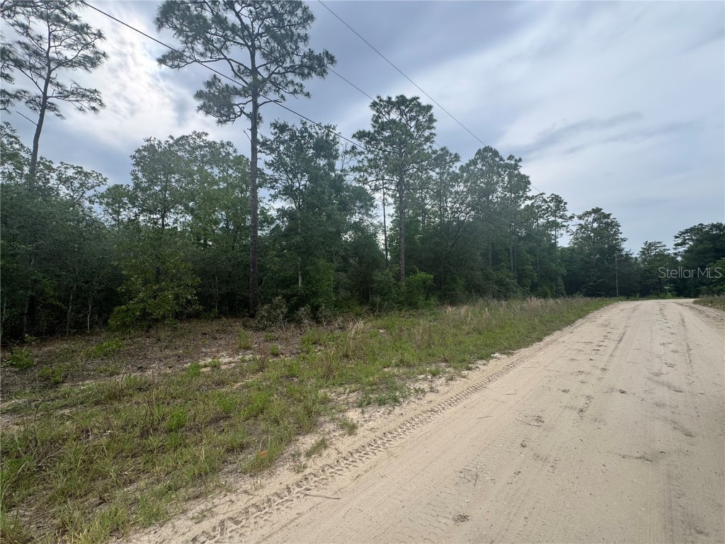 TBD SW 159 Court Ocala FL 34481 OM703327 image3