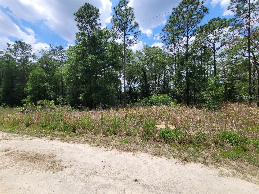 TBD SW 159th Avenue Ocala FL 34481 C7475760 image1