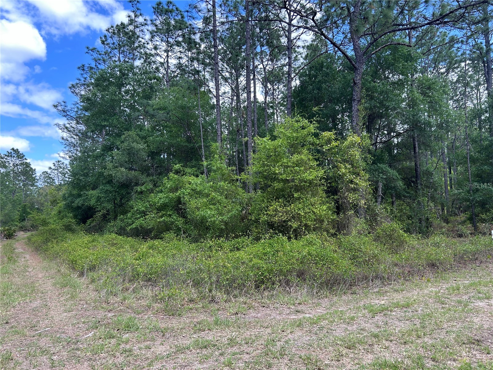 TBD SW 159th Avenue Ocala FL 34481 OM725596 image1
