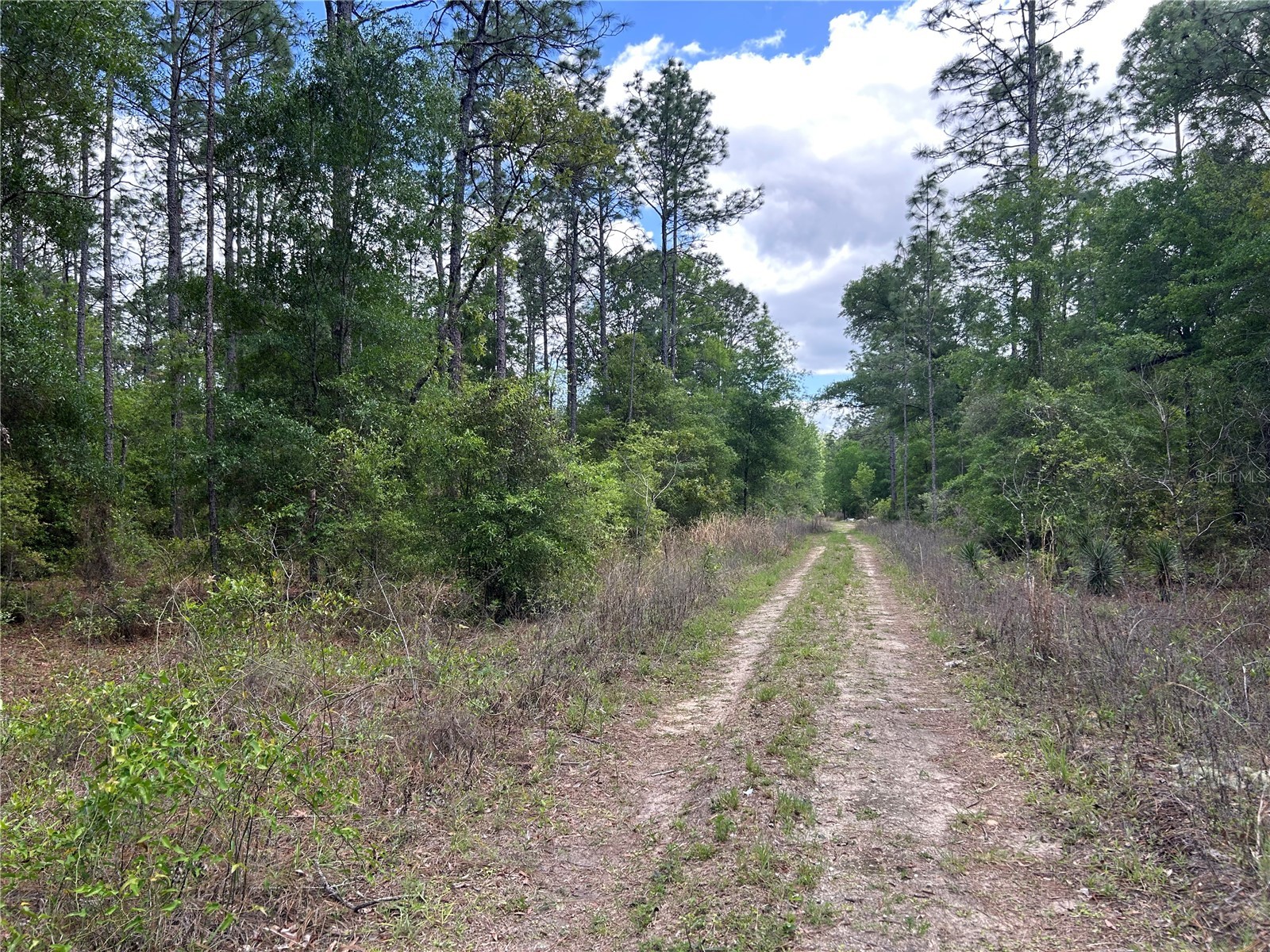 TBD SW 159th Avenue Ocala FL 34481 OM725596 image2