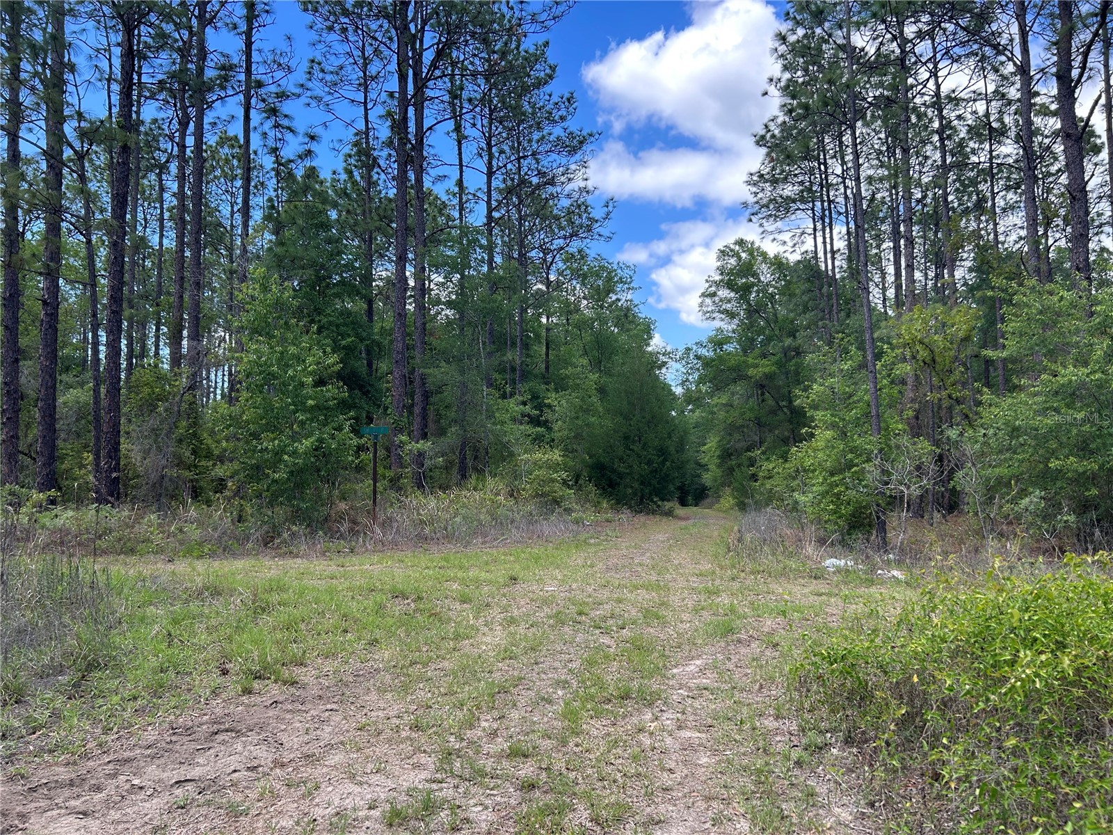 TBD SW 159th Avenue Ocala FL 34481 OM725596 image3