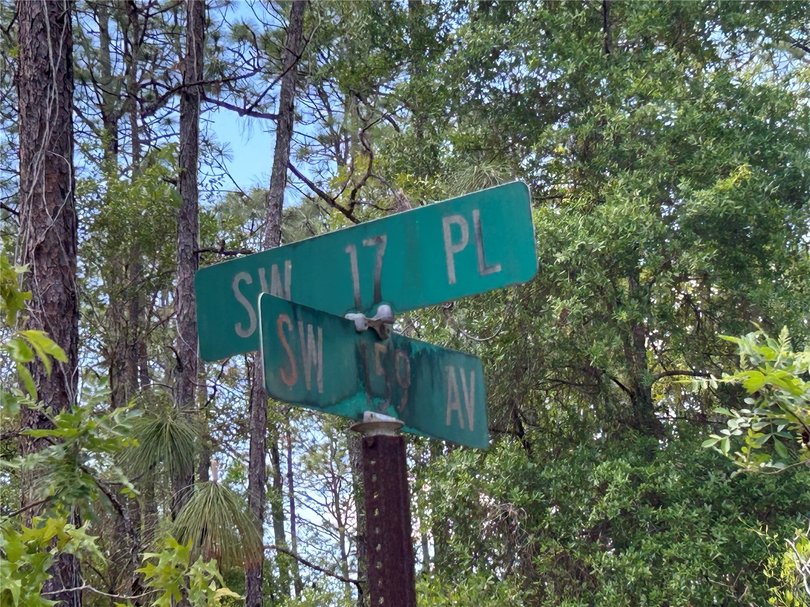 TBD SW 159th Avenue Ocala FL 34481 OM725596 image6