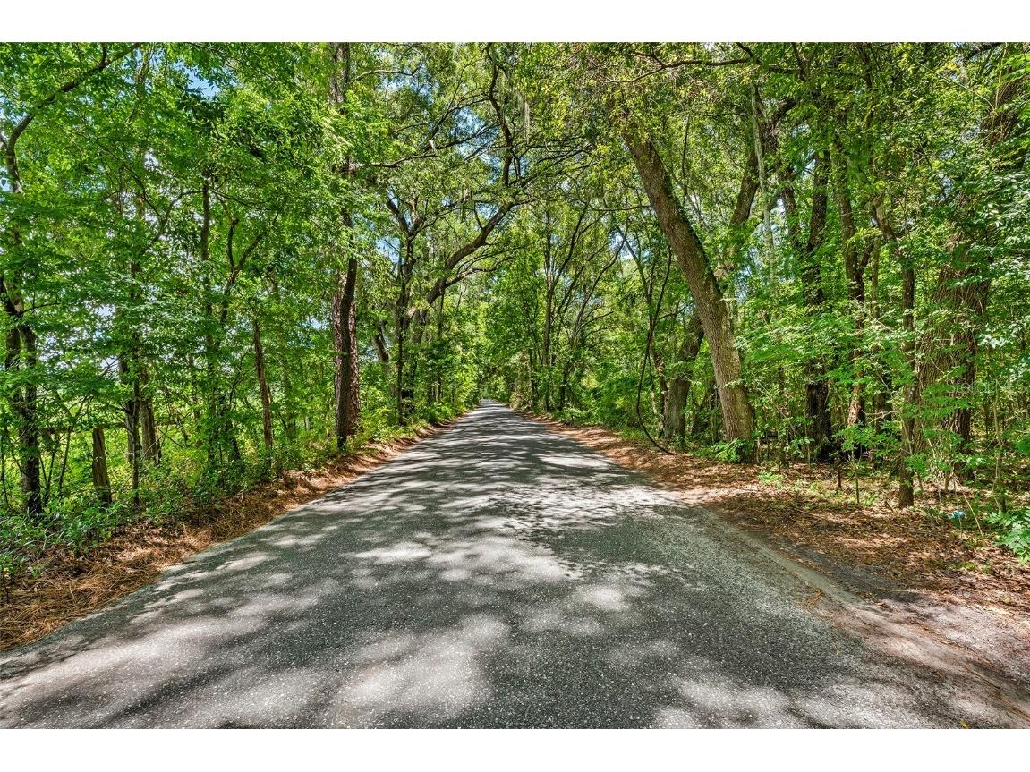 TBD SW 15th Avenue Newberry FL 32669 GC514167 image1