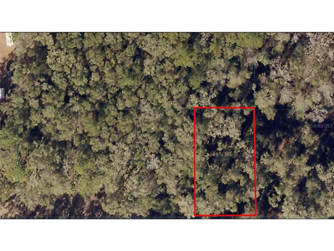 TBD SW 15th Place Ocala FL 34481 OM665291 image1