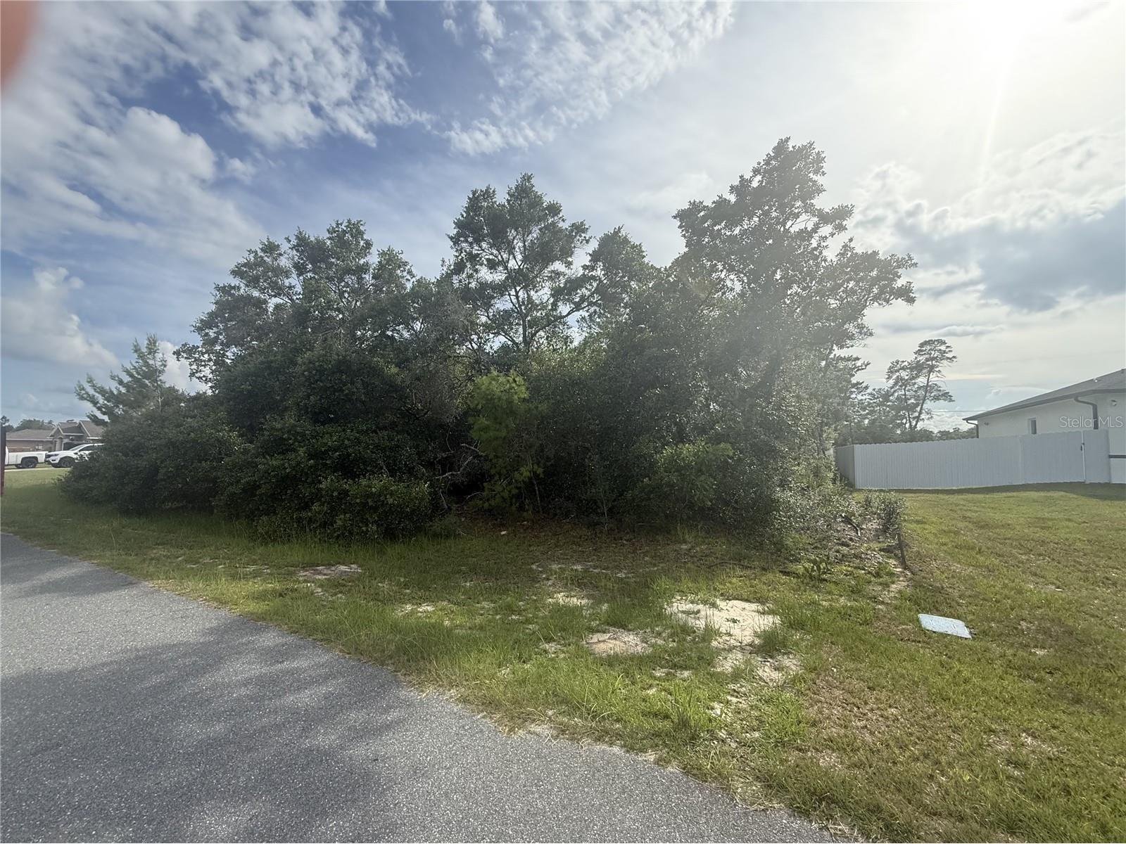 TBD SW 161st Loop Ocala FL 34473 O6417860 image1