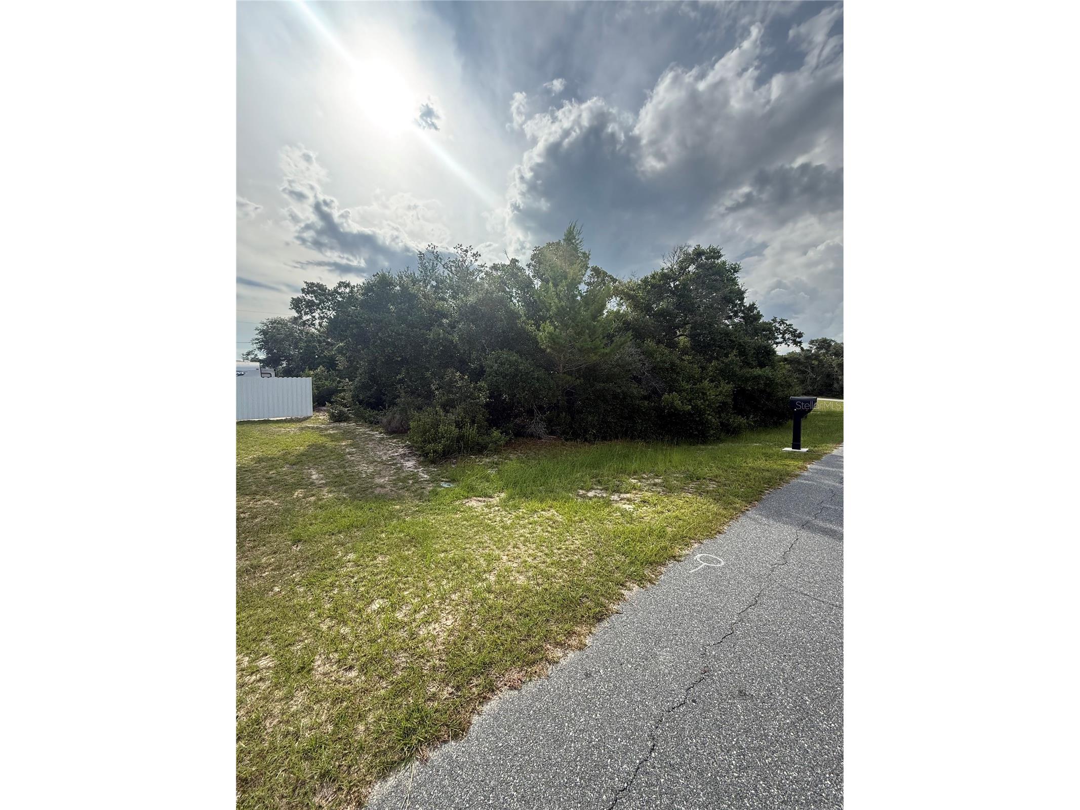 TBD SW 161st Loop Ocala FL 34473 O6417860 image2
