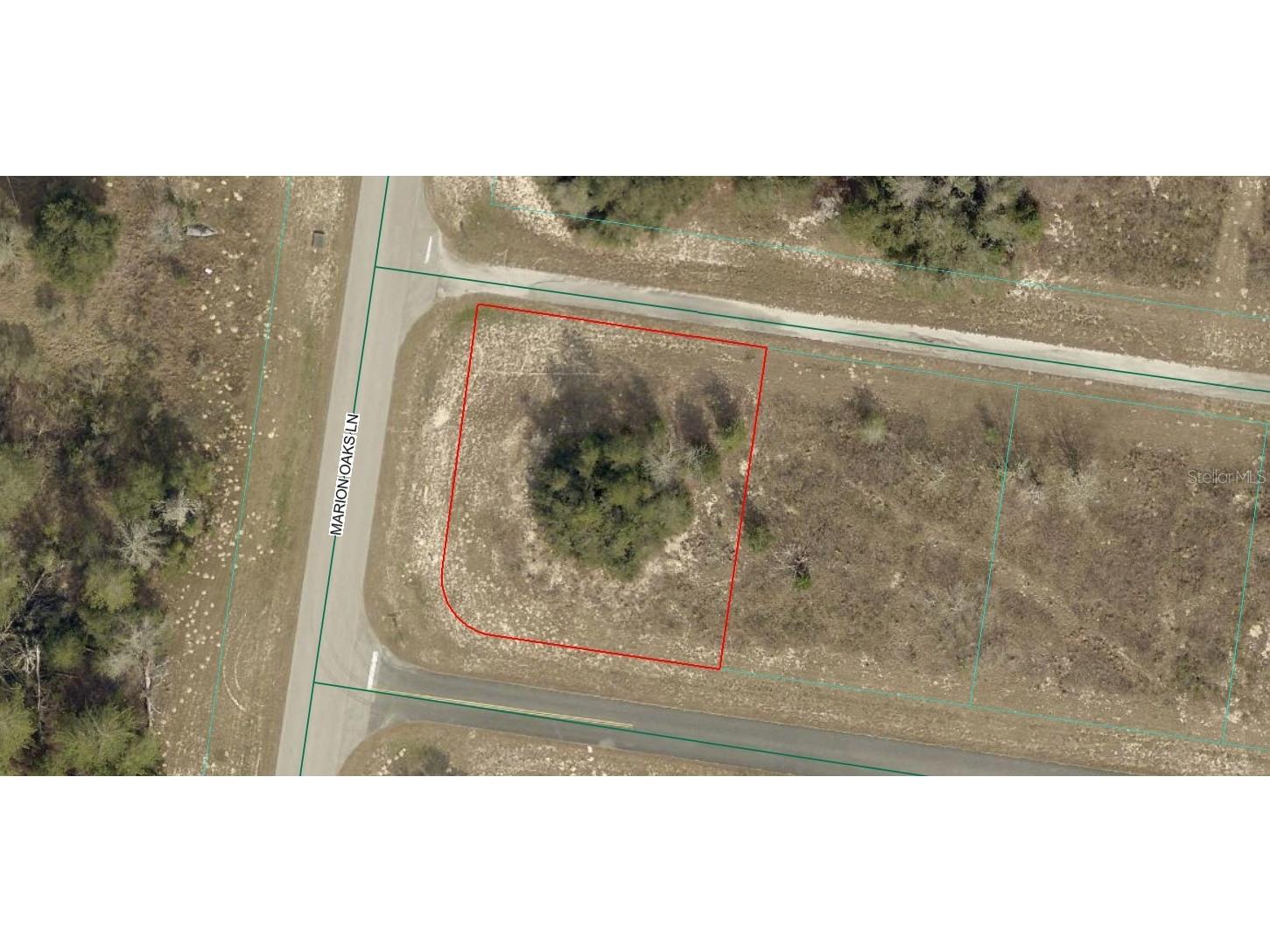 TBD SW 164th Place Road Ocala FL 34473 OM717327 image1