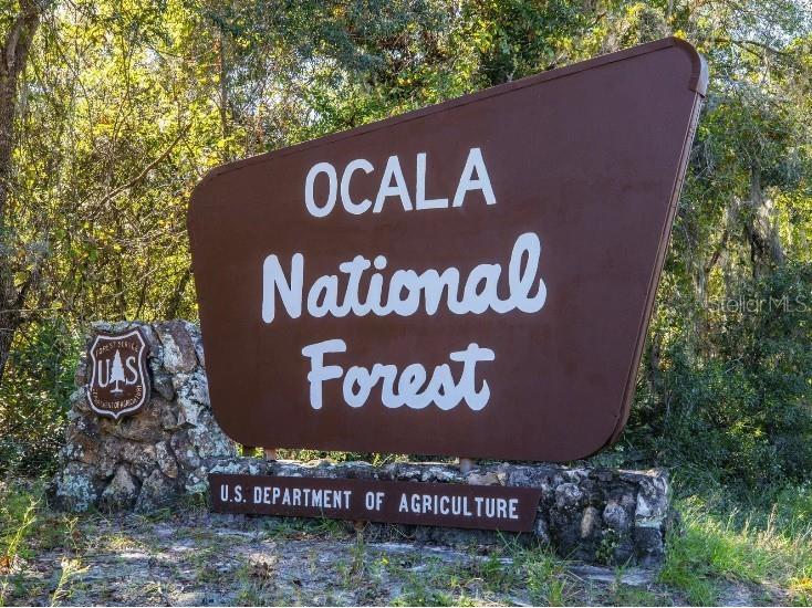 TBD SW 165th Street Road Ocala FL 34473 O6381418 image23