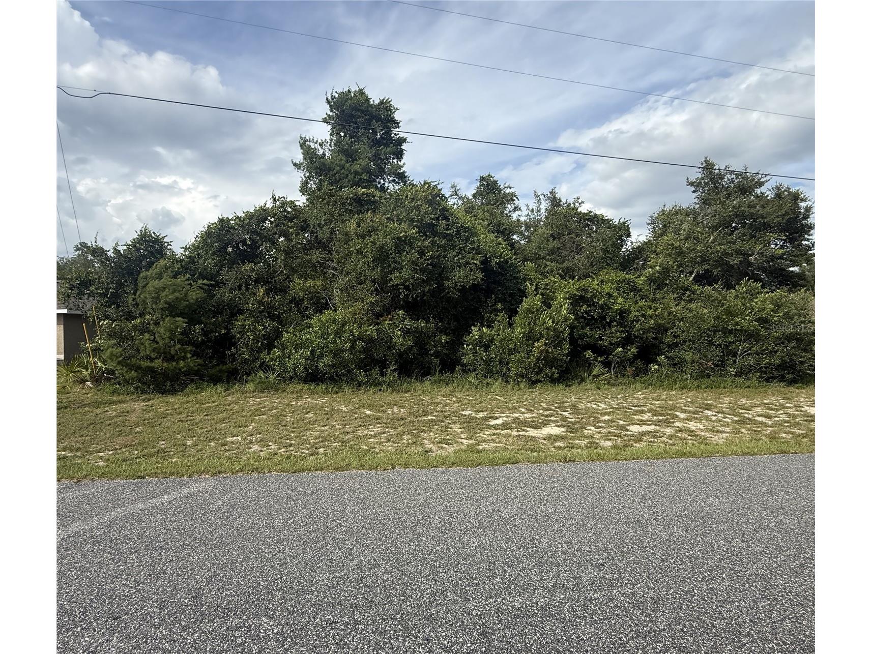 TBD SW 165th Street Road Ocala FL 34473 O6417891 image1